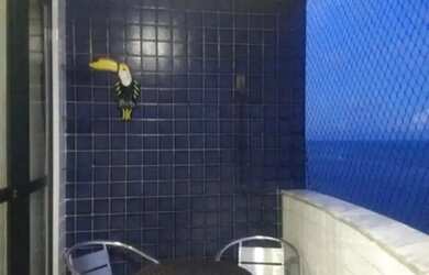 Imagem 8: Apartamento à venda no EDIFICIO MAR OLINDA, CASA CAIADA, Olinda, PE