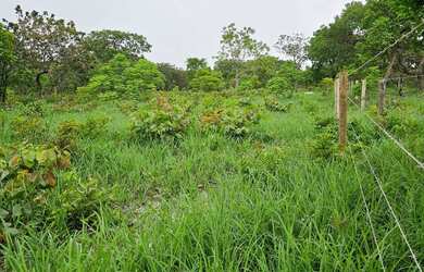 Imagem: A chácara possui 2.750m² de Área e está localizado em Guaibim