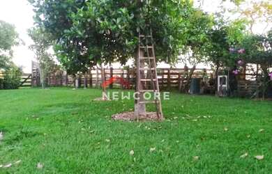 Imagem 10: Fazenda em Saltinho - Centro - Saltinho/SP