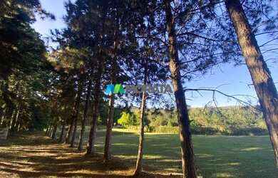 Imagem 6: PROPRIEDADE ESPETACULAR - 08 HECTARES - LAVRAS NOVAS - OURO PRETO MG