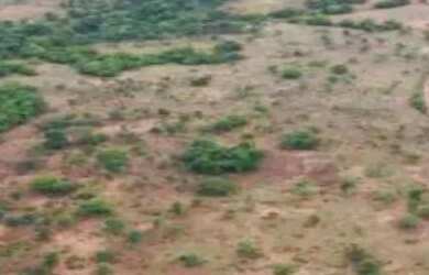 Imagem 2: FAZENDA À VENDA EM SANTA TEREZA DE GOIÁS 10,5 ALQUEIRES Excelente oportunidade...
