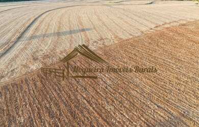 Imagem 7: Sítio com 17 alqueires terra vermelha em Quadra/SP