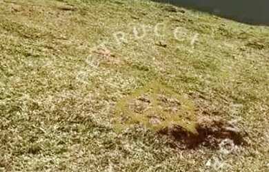 Imagem: O terreno possui 402m² de Área e está localizado em Swiss