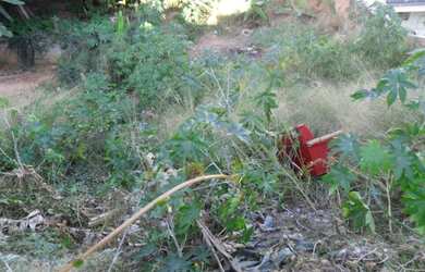 Imagem: O terreno possui 360m² de Área e está localizado em Jardim