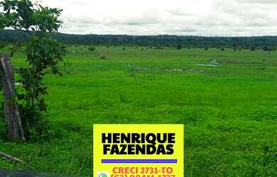 Imagem 7: Fazenda Formoso do Araguaia