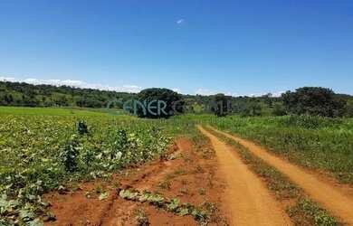 Imagem 2: 2072 Maravilhosa E Produtiva Fazenda De 57 Ha Na Região De Sete Lagoas...