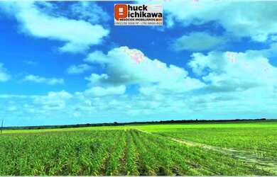 Imagem 3: ARRENDAMENTO. 