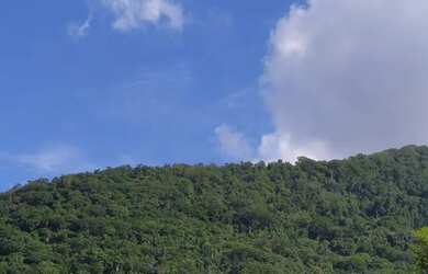 Imagem: A kitnet possui 1 Dormitório, 1 Banheiro e Imóvel mobiliado