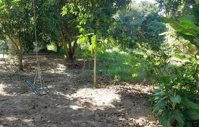 Imagem 11: Área para Venda em Rio de Janeiro, Ilha de Guaratiba, 1 banheiro