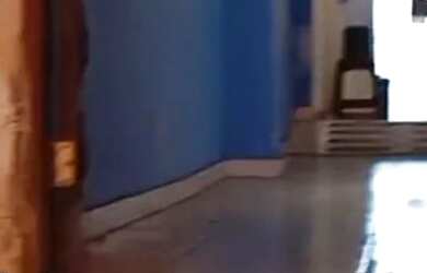 Imagem 6: Alugo ponto comercial na liberdade no CT e apartamentos de 2/4s lapinha,...