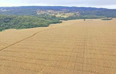 Imagem 3: Fazenda a venda, em Santa Cruz de Goiás