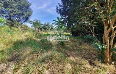 Imagem 7: Área disponível para venda 6.745 m² no bairro Chácaras Tubalina e Quartel em Uberlândia-MG