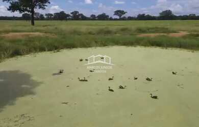 Imagem 7: EXCELENTE FAZENDA DE PLANTIO DE BANANA E PECUARIA NO NORTE DE MINAS