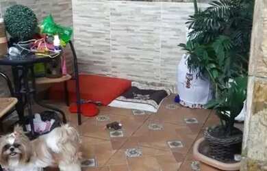 Imagem 4: Casa na Cohama. Piscina, Churrasqueira, Varandae1 Vaga na garagem