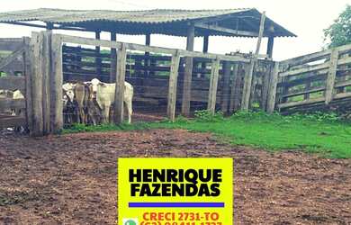 Imagem 8: Fazenda Formoso do Araguaia