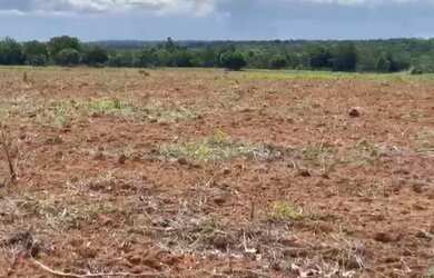 Imagem: A fazenda possui 333m² de Área e está localizado em Pedro