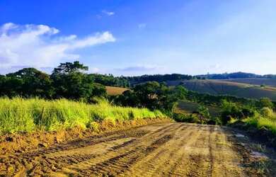 Imagem 6: 03a-1808DU0. 500m² de Área