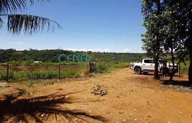 Imagem 5: 2072 Maravilhosa E Produtiva Fazenda De 57 Ha Na Região De Sete Lagoas...