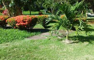 Imagem: O terreno possui 265m² de Área e está localizado em Itapuã