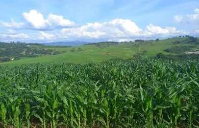 Imagem 8: Lote/Terreno para venda possui 500 metros quadrados em Usina - Atibaia...