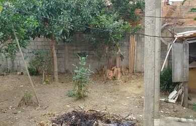 Imagem 2: Casa no boa vista. 225m² de Área, 2 Vagas na garageme2 Dormitórios