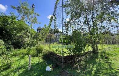 Imagem 8: Terreno à venda, 4186 m² por R$ 1.995.000,00 - Garcia - Blumenau/SC