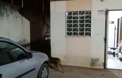 Imagem: A casa possui 2 Dormitórios, 1 Banheiro, 2 Vagas na garagem