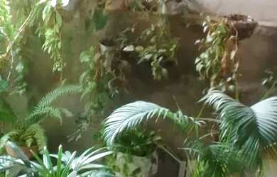 Imagem 11: Casa no jardim sao Paulo. Varanda, 125m² de Área, 3 Banheirose3 Dormitórios