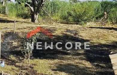 Imagem: A fazenda possui 1m² de Área e está localizado em Esmeraldas