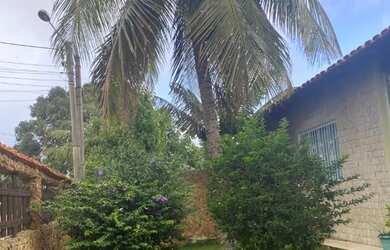 Imagem 7: Venda de casa Casa com 3 dormitórios