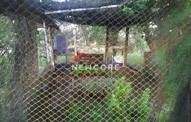 Imagem 12: Fazenda em Saltinho - Centro - Saltinho/SP