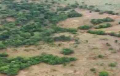 Imagem 3: FAZENDA À VENDA EM SANTA TEREZA DE GOIÁS 10,5 ALQUEIRES Excelente oportunidade...