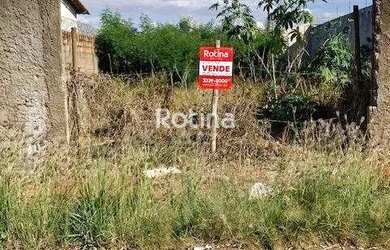 Imagem: O terreno possui 12m² de Área e está localizado em São