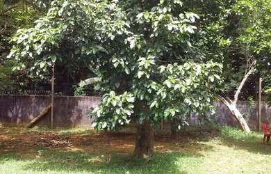 Imagem: O terreno possui 1.200m² de Área e está localizado em Cachoeirinha