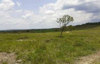 Imagem: A fazenda possui 333m² de Área e está localizado em Pedro