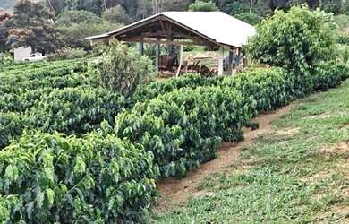 Imagem: A casa possui 2 Dormitórios, 4 Banheiros, 2 Vagas na garagem