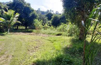 Imagem 7: Área para Venda em Rio de Janeiro, Ilha de Guaratiba, 1 banheiro