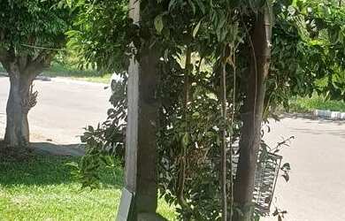 Imagem: A casa possui 3 Dormitórios, 2 Banheiros, 5 Vagas na garagem