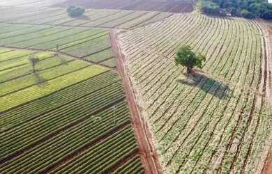 Imagem 9: Área Rural à venda - Triângulo Mineiro