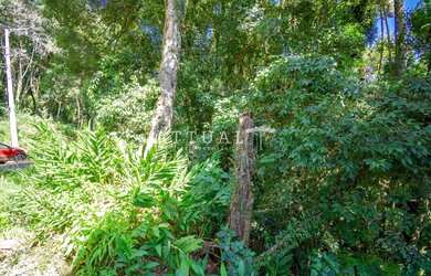 Imagem 6: GRANDE TERRENO NO BAIRRO VILA SUZANA