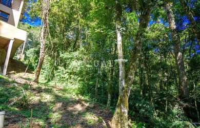 Imagem 10: GRANDE TERRENO NO BAIRRO VILA SUZANA