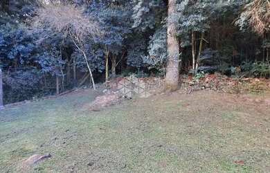 Imagem 5: Amplo terreno em otima localização em Garibaldi