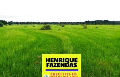 Imagem 10: Fazenda Formoso do Araguaia