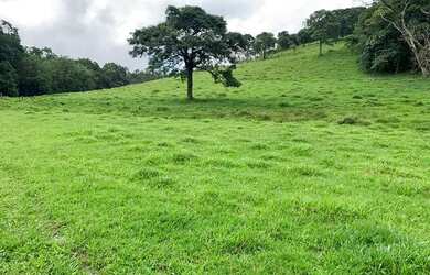 Imagem: O terreno possui 600m² de Área e está localizado em Centro