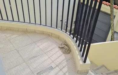 Imagem: Casa venda possui 150 metros quadrados com 3 quartos em Glória