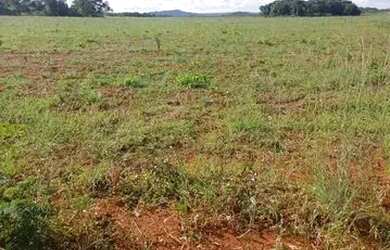 Imagem: A fazenda está localizado em Plano Diretor Sul, Palmas à venda