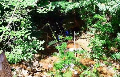 Imagem 4: VENDO SITIO NA ESTRADA DA PRODUÇÃO PROXIMO A SAMAMBAIA COM LINDAS BELEZAS...