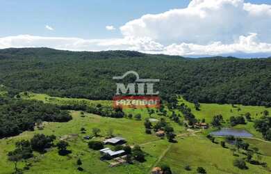 Imagem: A fazenda possui 500m² de Área e está localizado em Colinas