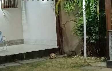 Imagem: A casa possui 3 Dormitórios, 3 Banheiros, 3 Vagas na garagem