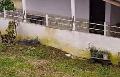 Imagem: A fazenda possui 23.709m² de Área e está localizado em Área